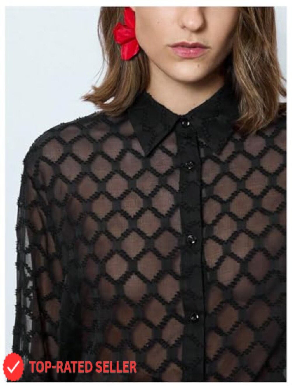 Long Sleeve Mesh Sheer Collared Button Down Blouse Top - Picture 4 of 5